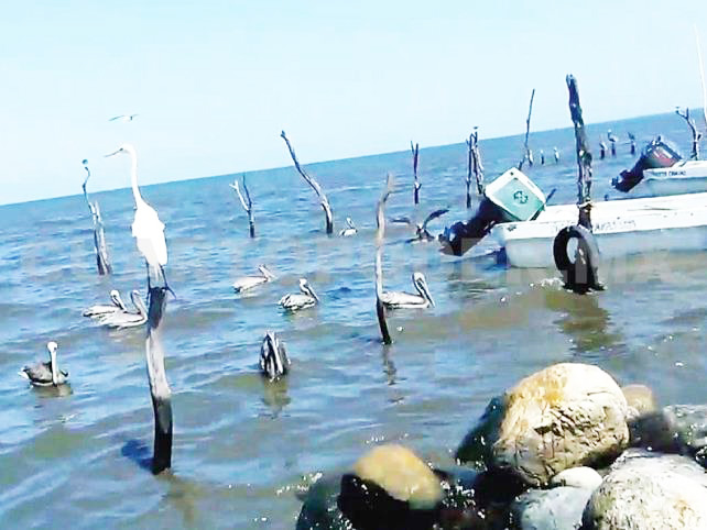 Pescadores suspenden actividades en toda la zona costa