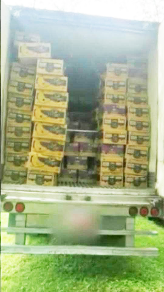 Asegura FGR cocaína oculta en camión que transportaba plátanos