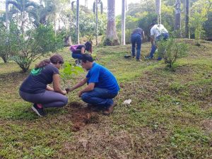 Efectúan campaña de reforestación en el Parque del Café