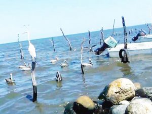 Pescadores suspenden actividades en toda la zona costa