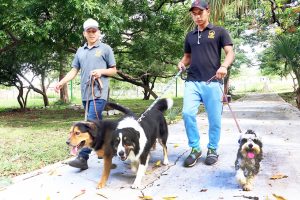 Asociaciones civiles y Ayuntamiento tuxtleco fortalecerán acciones de bienestar animal