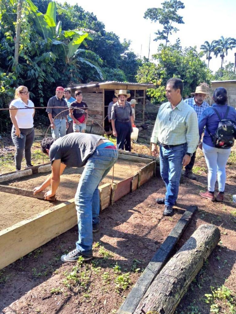 Capacitan a productores de café para aumentar producción y calidad