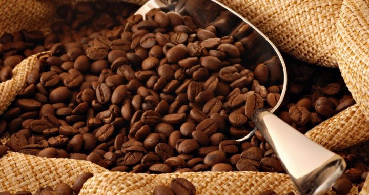 Chiapas dejará de recibir hasta 100 mdd por baja de precios del café