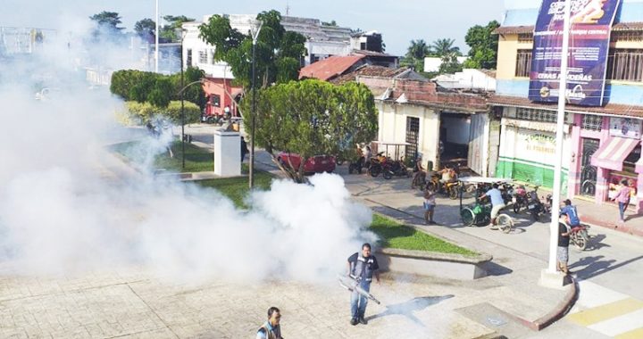 Chiapas registra una disminución del 25% en la incidencia de casos de dengue