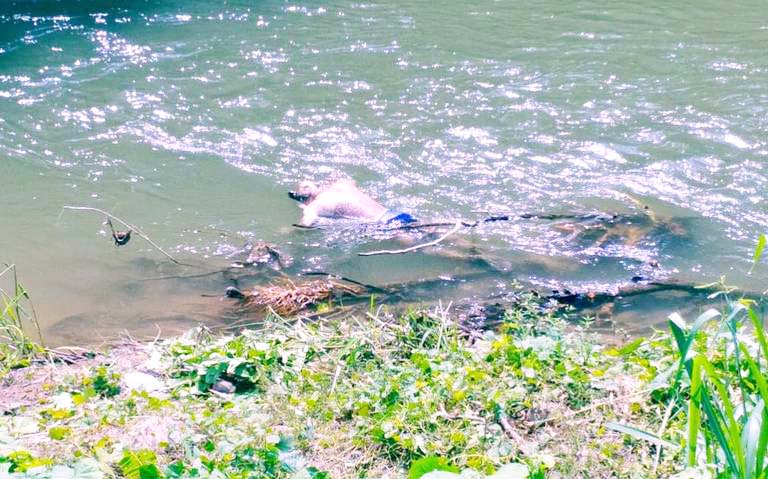 Hallan persona ahogada en río Cahoacán