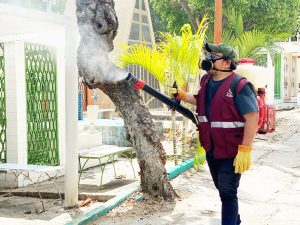 Panteón Municipal de Tuxtla, certificado como espacio libre de criaderos de mosquitos