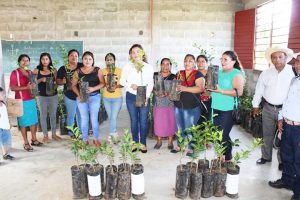 Productores de la CIOAC se benefician con programas agrícolas