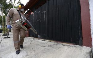 La SS refuerza  acciones  para la eliminación del mosco transmisor de Dengue y  Chikungunya