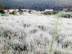 Realizan acciones de monitoreo en humedales de San Cristóbal