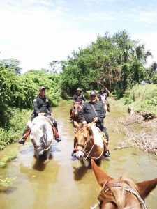 SSyPC combate el abigeato en municipios de la Región Istmo-Costa