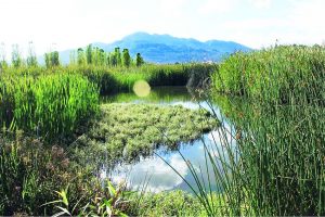 Activistas del medio ambiente realizan el Primer Foro Cuencas y Cultura del Agua en Chiapas
