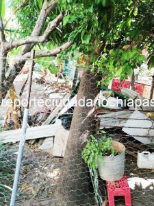 Denuncian invasión de espacios en colonia de Tuxtla