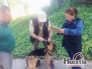 Desparasitaciones continuas en caninos y felinos en Huixtla