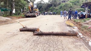 Peaje en la Región de los Bosques ya fastidia a automovilistas