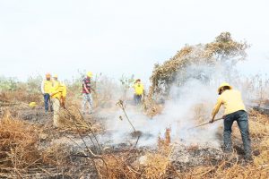 Ayuntamiento de Tuxtla trabaja por mitigar incendios en zona natural protegida del Cañón del Sumidero