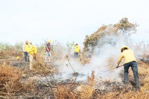 Ayuntamiento de Tuxtla trabaja por mitigar incendios en zona natural protegida del Cañón del Sumidero