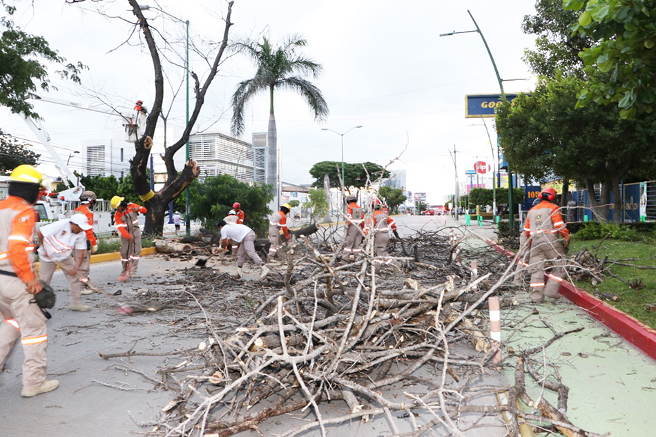 Ayuntamiento municipal de Tuxtla Gutiérrez reiniciará programa de retiro de árboles secos