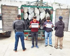 Detienen a dos hombres con 46 costales con más de 900 kilos de carbón