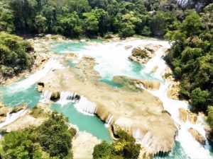 Se cumplen 42 años del decreto presidencial que protege la Reserva de la Biósfera Montes Azules