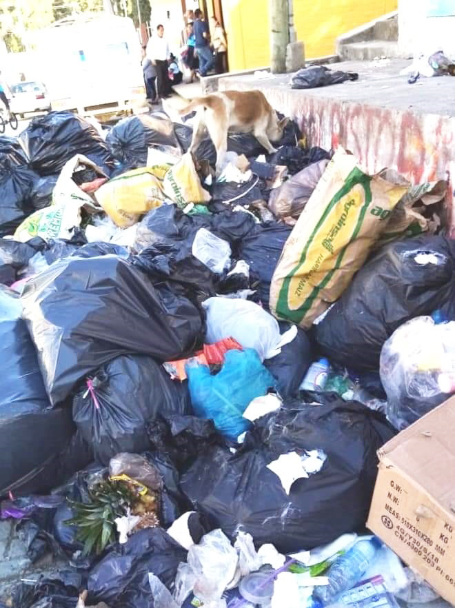 Se prenden las alarmas por problemática del basurero en Bochil
