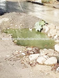 Vecinos de la colonia Los Pájaros denuncian graves problemas de aguas negras