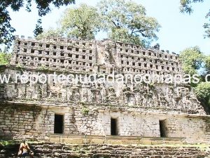 Diálogo ha logrado acuerdos entre guías y lacandones