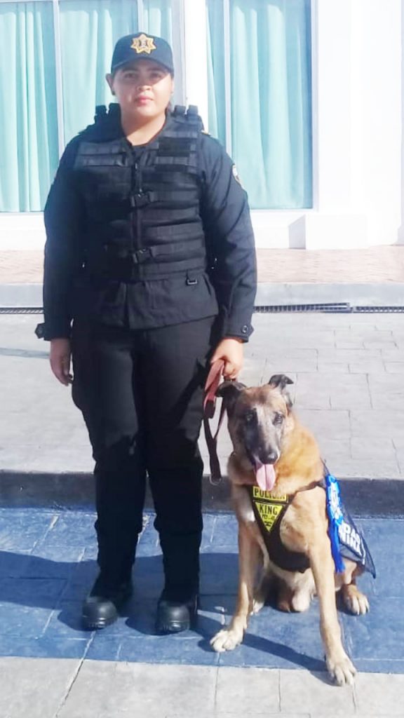 Jubila SSyPC con honores a policía canino King