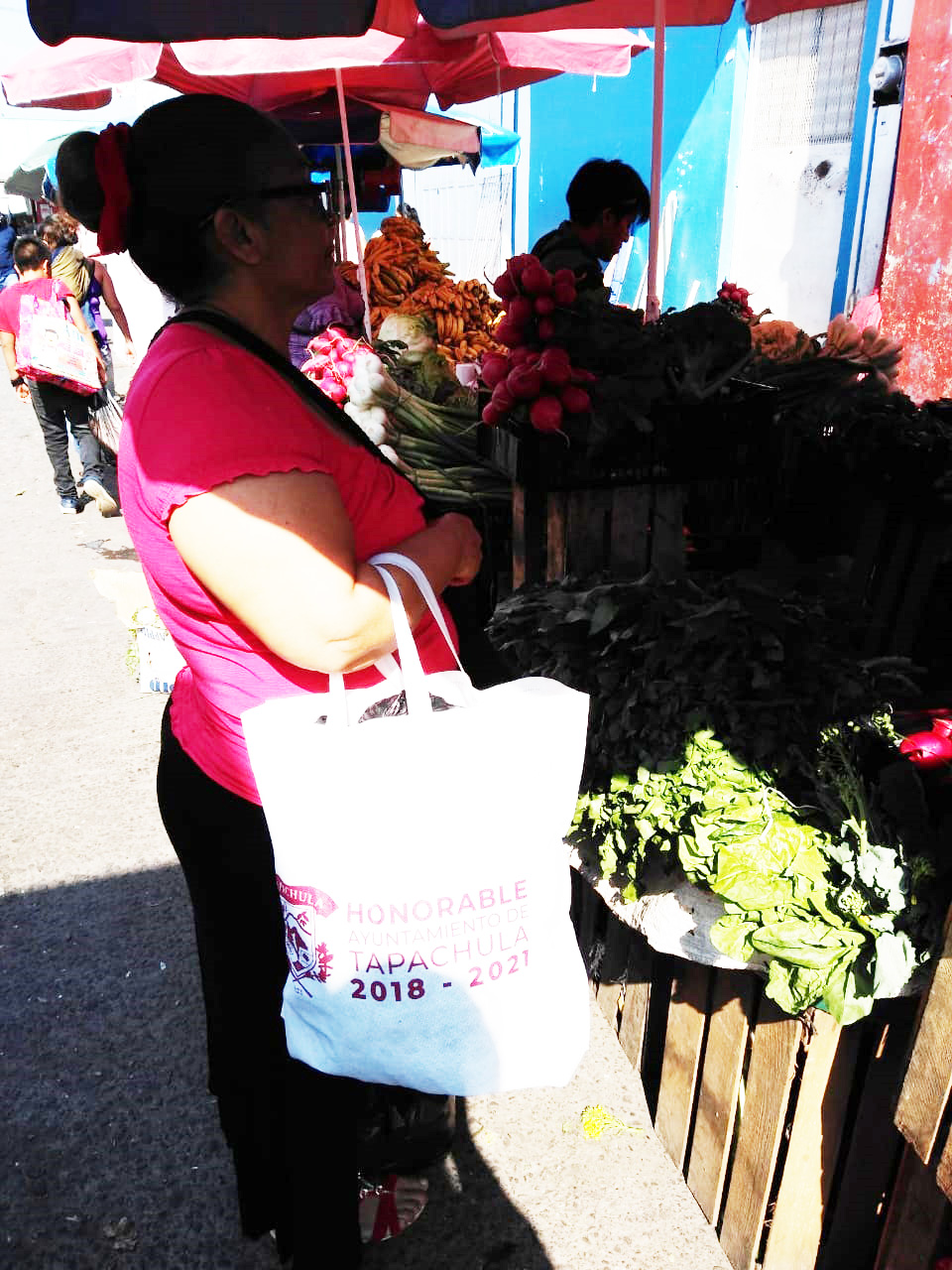 Por indicaciones del alcalde Gurría Penagos se distribuyen gratuitamente bolsas ecológicas