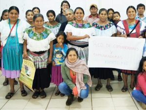 Se reunirán para analizar y combatir invasión y destrucción de tierras en SCLC