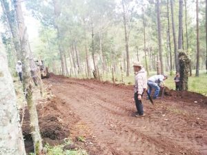 En Pueblo Nuevo Solistahuacán Alcalde apertura camino en beneficio de dos familias  