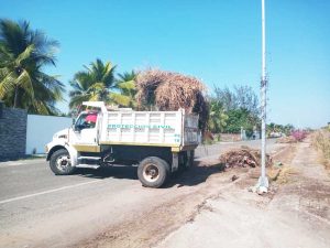 Gobierno Municipal tapachulteco realiza operativo de limpieza de playas