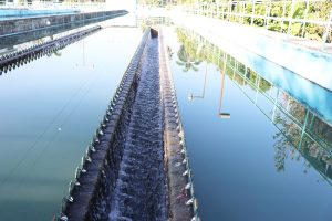 No faltará el agua en Tapachula COAPATAP