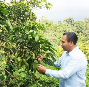 Presenta ERA iniciativa para impulsar la cafeticultura