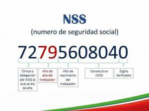 Recomienda IMSS memorizar su número de Seguridad Social