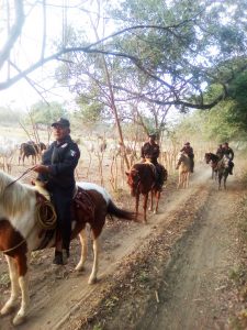 Unidad de Caballería de SSyPC previene y combate el abigeato