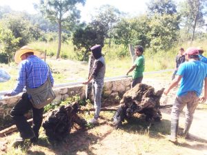 100 familias beneficiadas con tubería galvanizada para agua potable