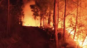 Arde el Cañón del Sumidero