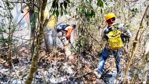 Condiciones meteorológicas limitan el combate al incendio en la Reserva del Cañón del Sumidero