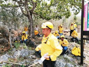 Continúan combate a incendio dentro del Parque Nacional Cañón del Sumidero