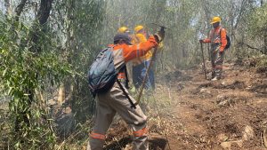 Concluye temporada de estiaje en la capital chiapaneca con 440 siniestros