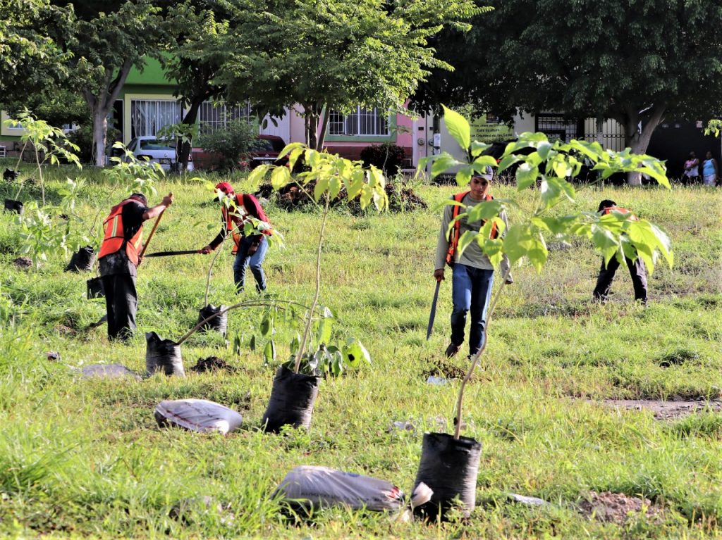 Este domingo iniciará programa de reforestación en Tuxtla