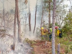 PC combate incendio forestal en Jitotol
