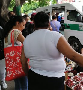 Urgente reactivar horario corrido del servicio del transporte usuarios