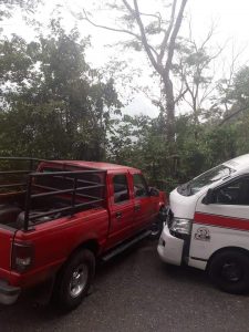 Árbol de amate provoca accidente vehicular en tramo Shulo – Ixhuatán