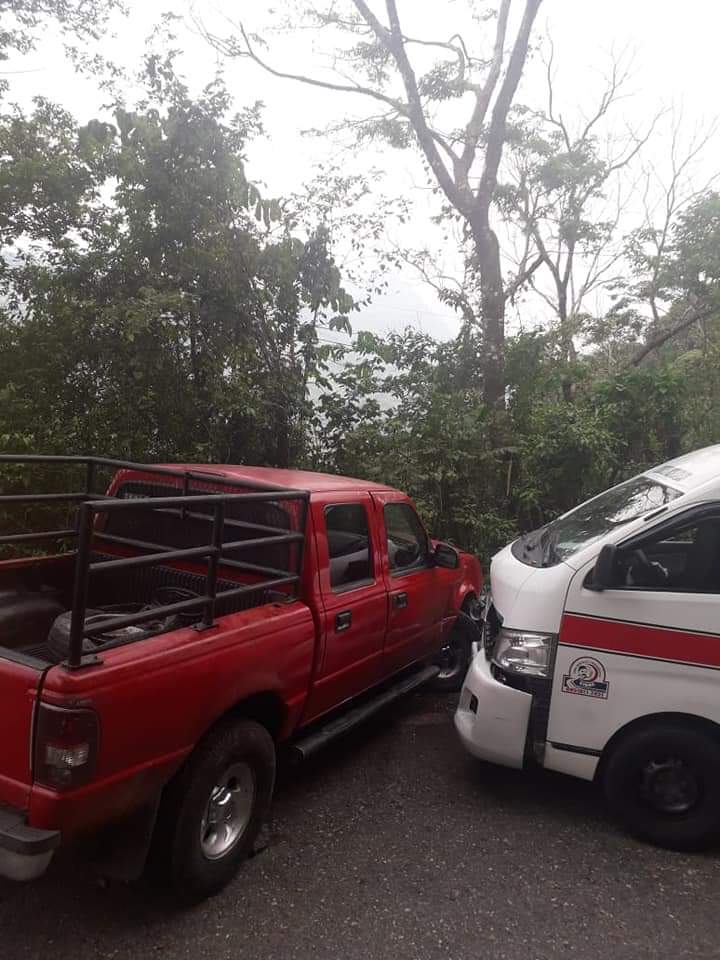Árbol de amate provoca accidente vehicular en tramo Shulo – Ixhuatán