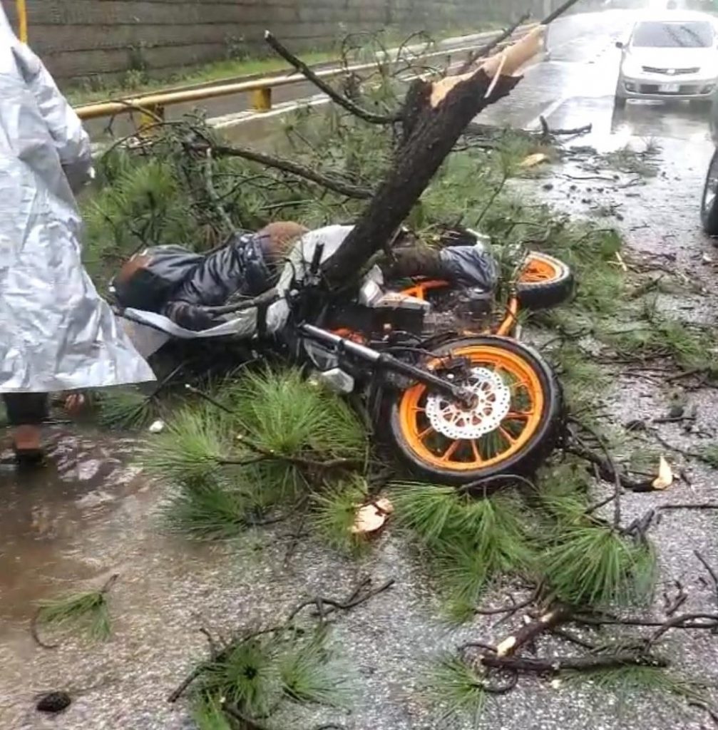 Motociclista muere al caerle un árbol transitando en tramo SCLC-Teopisca