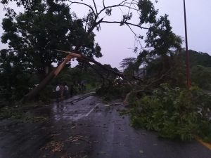 Autoridades Municipales de Tapachula atienden afectaciones por lluvias