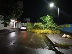 Autoridades Municipales de Tapachula atienden afectaciones por lluvias