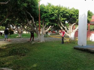 Con acciones de limpieza se mejora la imagen urbana de Tapachula