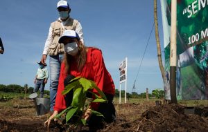Programa Sembrando Vida impulsa producción del campo en Tapachula